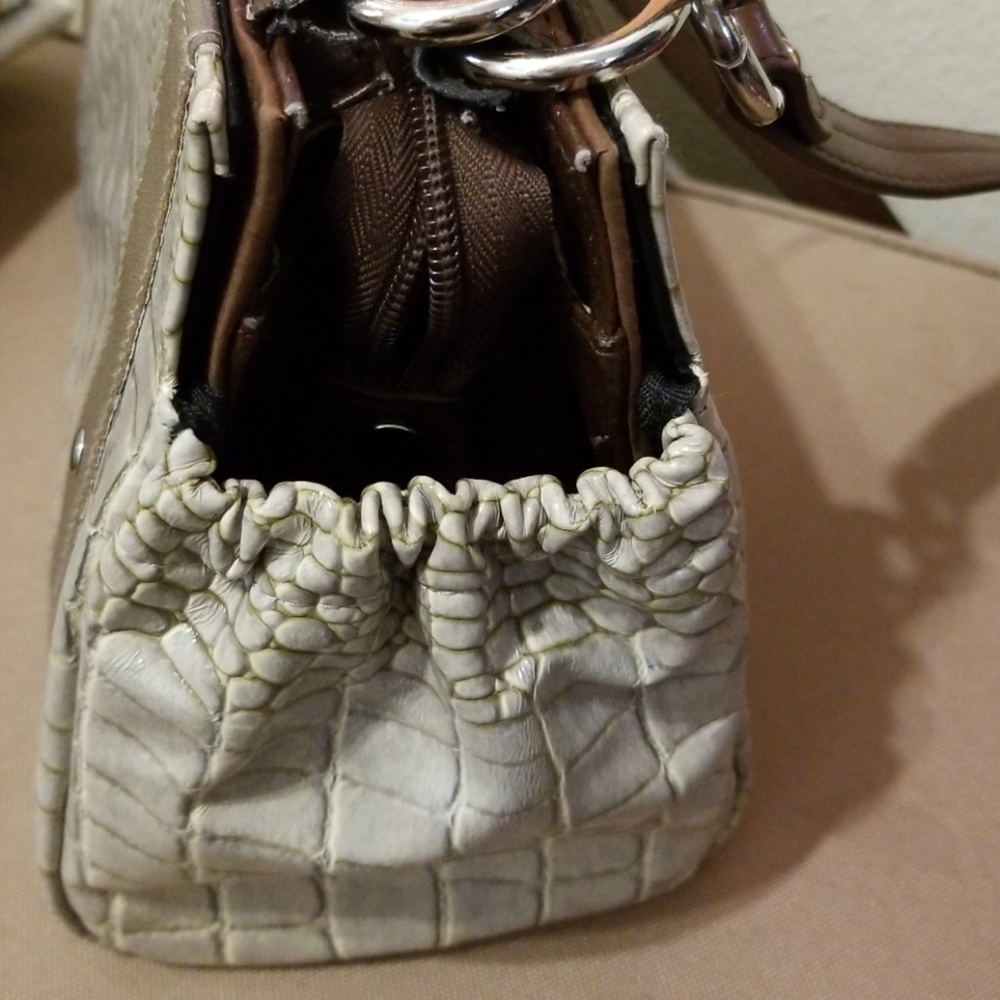 Miche shells - Picture 2 of 3